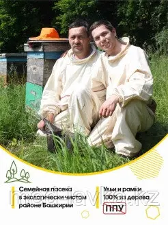 Мёд Жантак (Верблюжья колючка) - фото 3